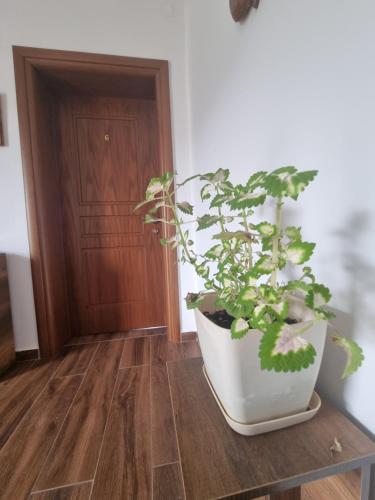 HOTEL VILA TWIX - image 4
