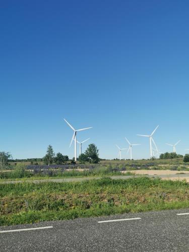 Cozy apartment next to Paldiski harbor Cozy apartment next to Paldiski harbor
