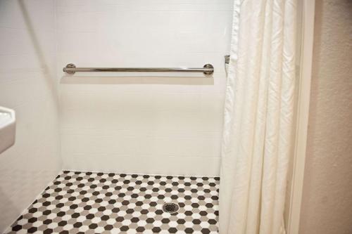 Comfort Suites Clearwater - Dunedin - image 6