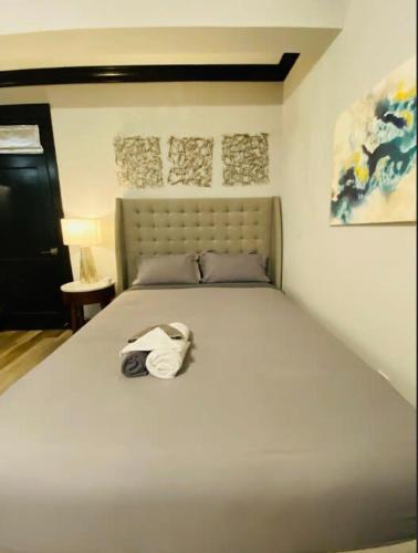 Studio Maximum Efficiency Soulard W&D Parking in Tower Grove, USA