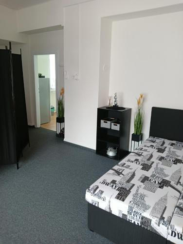 Apartmán v Kyjově (Apartman v Kyjove) in 基約夫