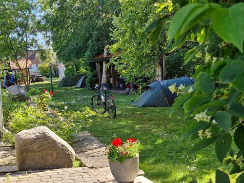 Piibelehe Guest Accommodation - image 12