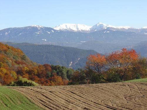 Agriturismo Girasole