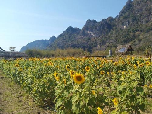Cool Pool Bungalow in Na Hin
