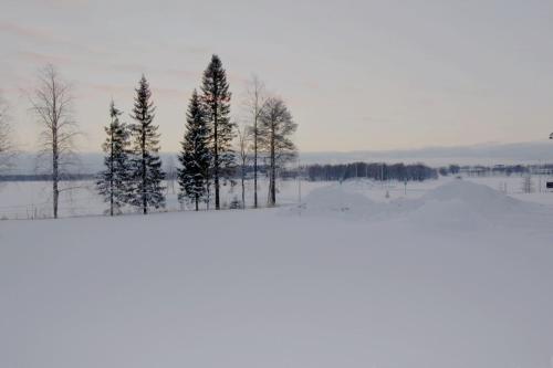 Forenom Hostel Kuusamo 3