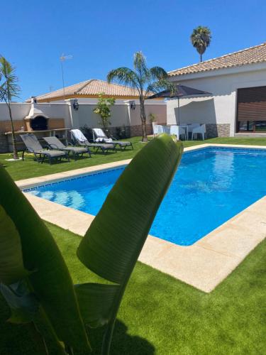 One-Bedroom Apartment with Pool View