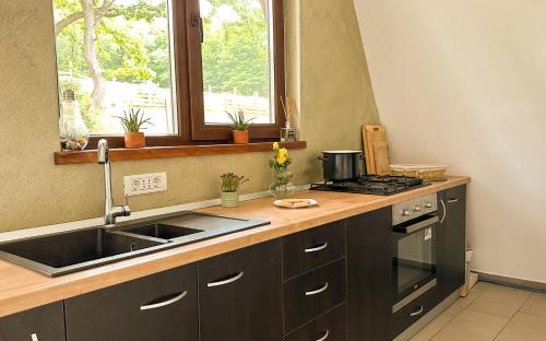 Dream Cottage in Holbav
