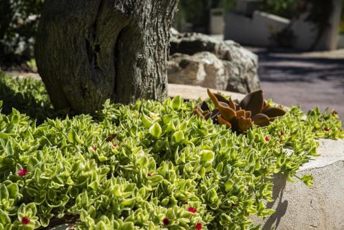 HMO Glamping & Suites in Vignanotica