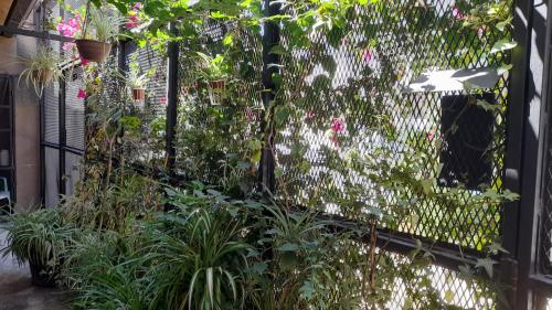 Garden, La Casita in Coghalan