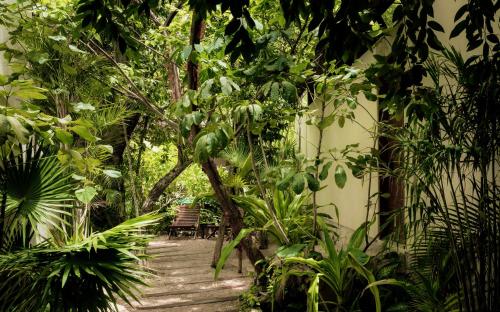 Jungle Keva Tulum Villa Lodges & Venue in Tulum, Mexico