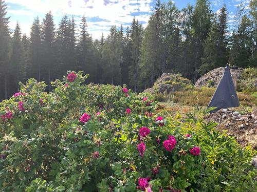 حديقة, Koselig hytte i skogen in Charlottenberg