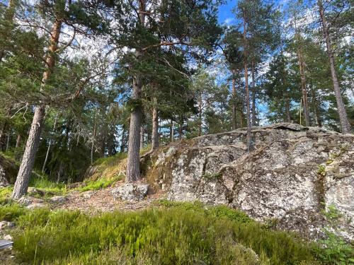 حديقة, Koselig hytte i skogen in Charlottenberg