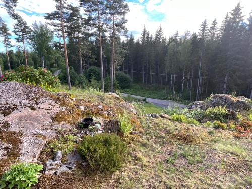 حديقة, Koselig hytte i skogen in Charlottenberg