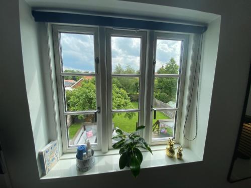 Garden, Private Rooms - Køge in Koge