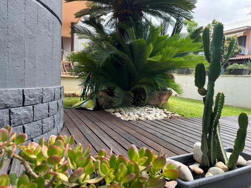 Flat with Jacuzzi - Casa Pia, Mondello (photo 6)