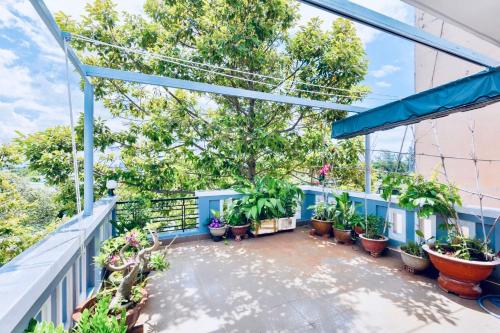 Terrazzo/balcone, Homestay Bảo Anh (Homestay Bao Anh) in Nguyen An Ninh