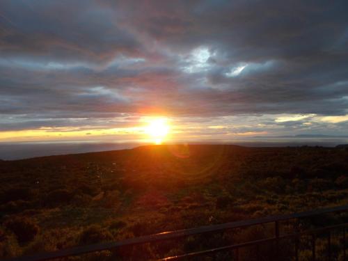 Thelea Mani Thelea Mani