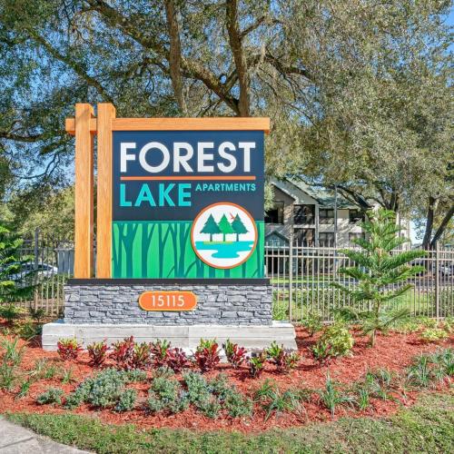 Long Term Stays Allowed Budget Friendly Pool in Tampa, USA