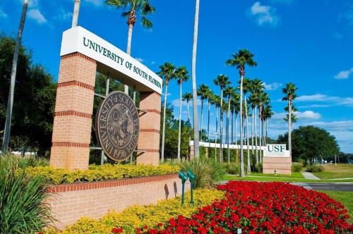 3 MI to USF Pool GYM & Pet Friendly 3 MI to USF Pool GYM & Pet Friendly