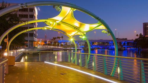 3 MI to USF Pool GYM & Pet Friendly 3 MI to USF Pool GYM & Pet Friendly