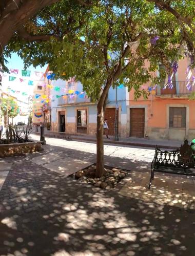 Alonso53, Guanajuato (photo 7)