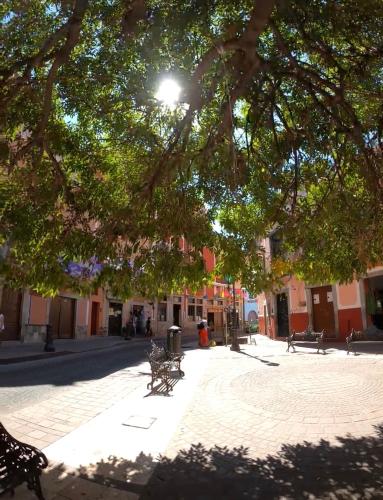 Alonso53, Guanajuato (photo 6)
