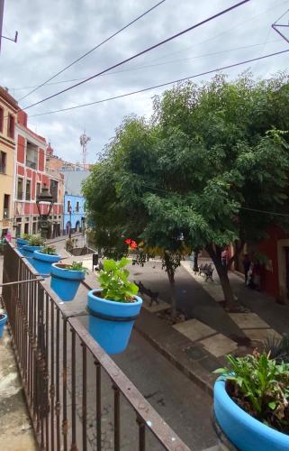 Alonso53, Guanajuato (photo 8)