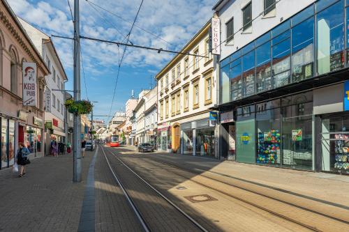 BNB Old Town Oasis 4, Bratislava (photo 8)