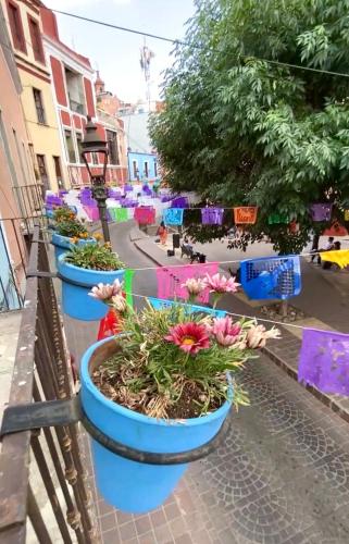 Alonso53, Guanajuato (photo 9)