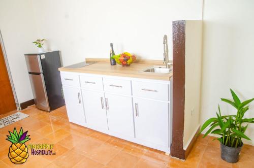 pineapple hospitality in Mayaguez