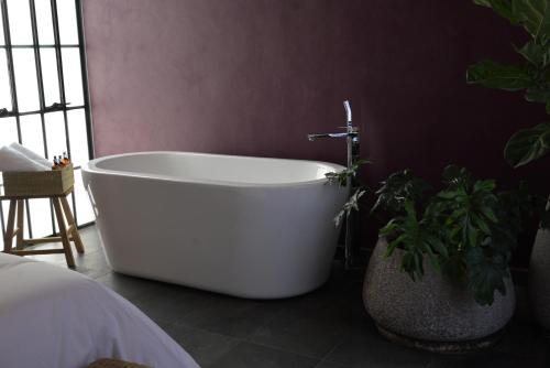Casa Martina Guest House - Pátzcuaro