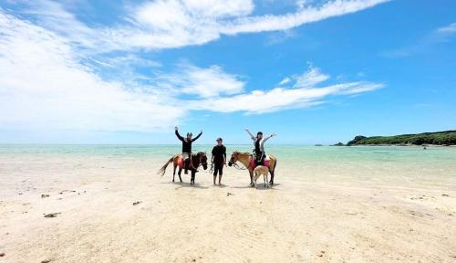 Horseback riding, 明石　美ら馬ハウス in Akaishi Beach