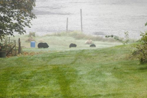 Beaver Hut Bed And Breakfast