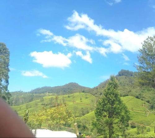 Nuwaraeliya Penthouse Apartment with pool & Panaromic Views - image 3