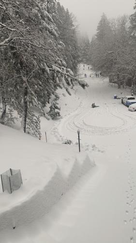 Forest Haven in Running Springs, USA
