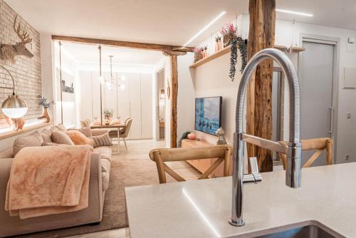 Közös társalgó / TV, Apartamento Viteri by SanSe Holidays in Errenteria