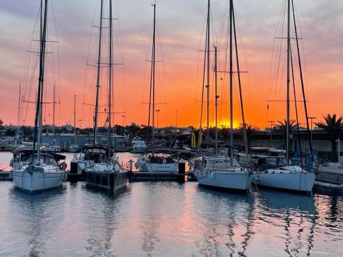 The Valencia Yacht Experience, Valencia (Foto 10)