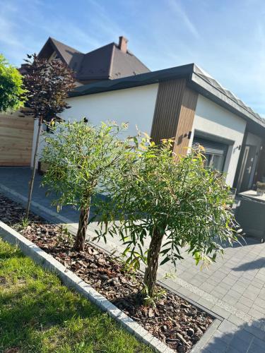 LUX HOUSE Roztocze Sauna i Bania z hydromasażem