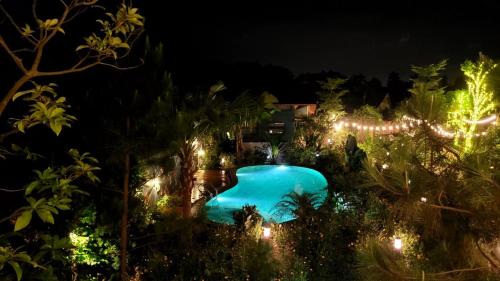 Soc Son - Bird House in Xuan Bang