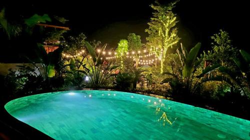 Soc Son - Bird House in Xuan Bang