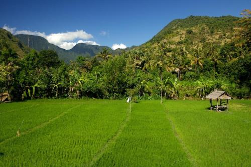 The Kampung