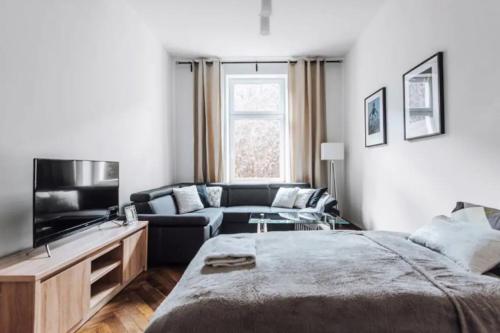 Star Dust Haven-2BR for 6-Old Town, Krakow
