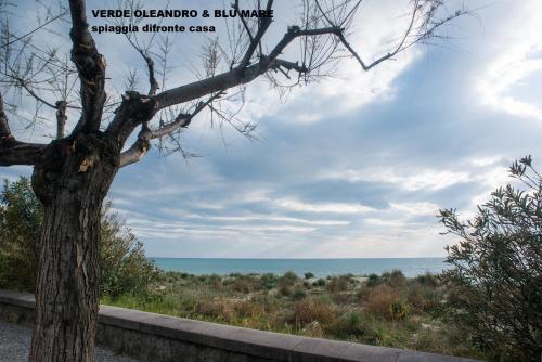 Widok, Verde oleandro & Blu mare in Salerno