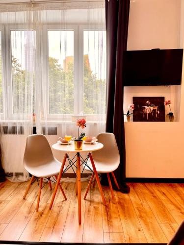 Nice 1Room Condo WarszawaCenter, Varsovie