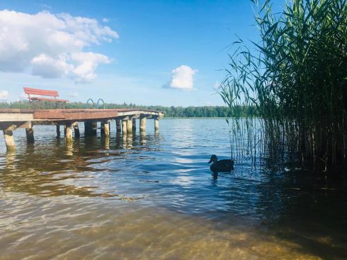 Dom Wakacyjny Bogaczewo in Bogaczewo