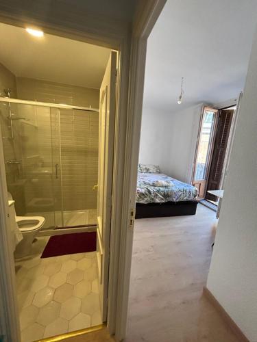 Room in Plaza Mayor, Madrid (fotografie 8)