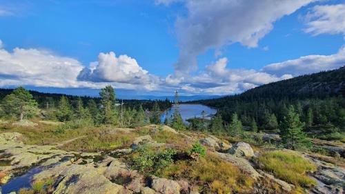 Knutehytta in Kongsberg