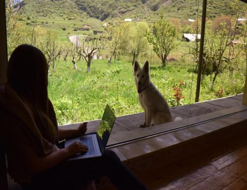 BenSon Adventures Resort in Gomk