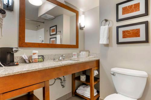 Comfort Suites Redding - Shasta Lake - image 3