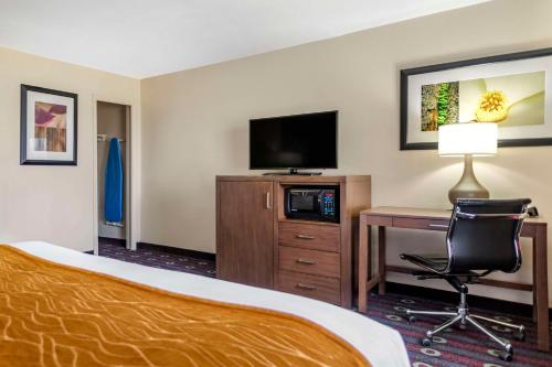 市中心康福特茵酒店 市中心康福特茵酒店